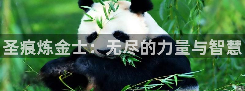 虫虫漫画在线看的入口：圣痕炼金士：无尽的力量与智慧